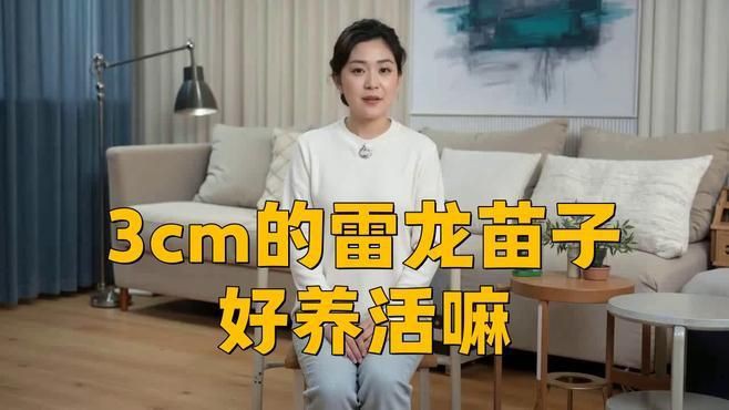 2-3cm龍魚苗的飼養(yǎng)環(huán)境要求【2厘米的龍魚幼苗如何科學(xué)養(yǎng)殖2厘米的龍魚幼苗】 2-3cm龍魚苗的飼養(yǎng)環(huán)境要求【2厘米的龍魚幼苗如何科學(xué)養(yǎng)殖2厘米的龍魚幼苗】 龍魚百科 第6張