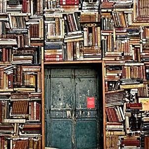 金魚肚子大炸鱗是懷孕了嗎【小金魚肚子大且炸鱗是懷孕了還是豎鱗病等健康問題而非懷孕】