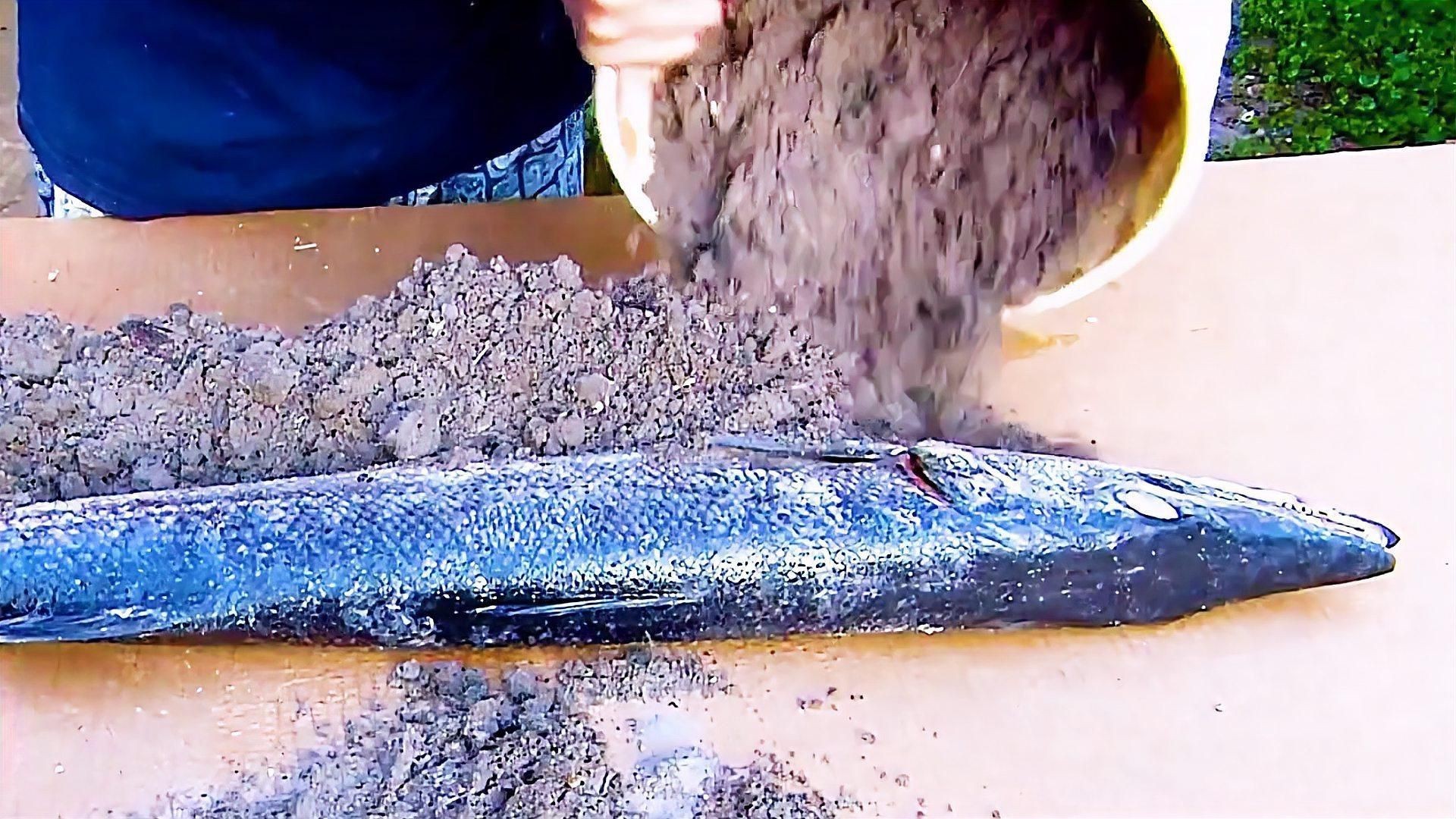 魚死了如何妥善處理尸體？【犧牲滴小魚如何處理一條魚一朵鮮花歸宿一盆花一個(gè)靈魂守護(hù)】