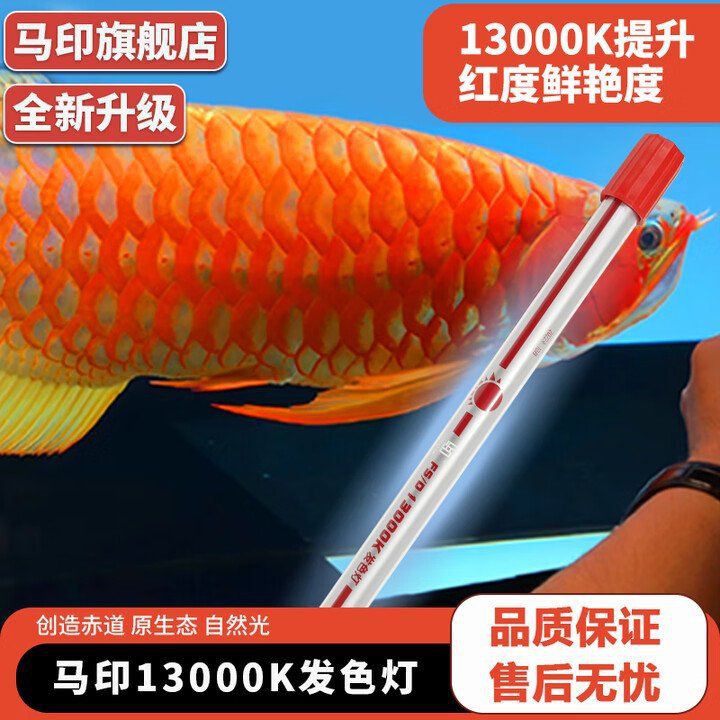 馬印燈最簡(jiǎn)單畫(huà)法大全圖片【《馬印燈最簡(jiǎn)單畫(huà)法大全圖片》】