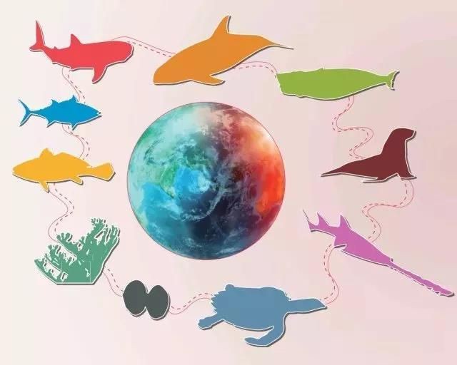 哪些魚是國家保護動物【中國部分國家級保護野生動物名錄及簡介】