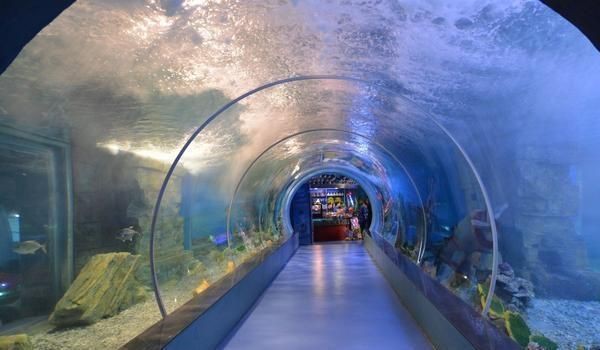 滄州魚缸定做【《滄州魚缸定做》】 滄州魚缸定做【《滄州魚缸定做》】 全國(guó)水族館企業(yè)名錄 第2張