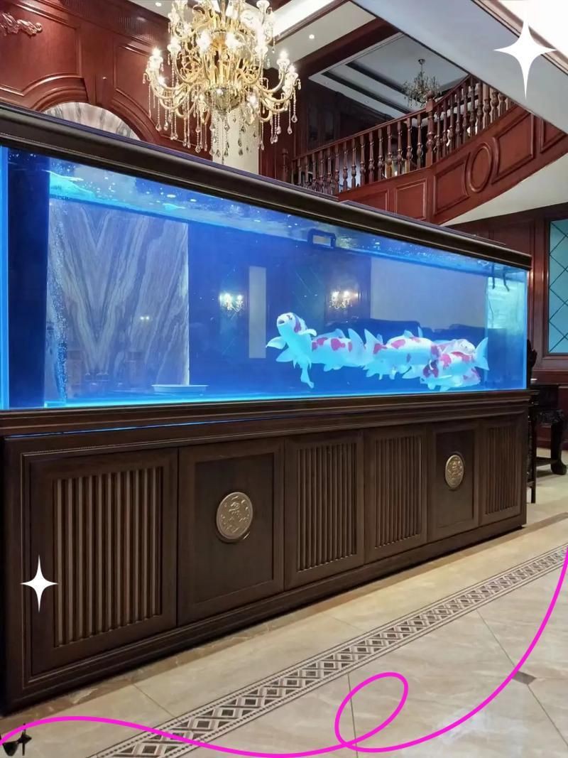 滄州魚缸定做【《滄州魚缸定做》】 滄州魚缸定做【《滄州魚缸定做》】 全國(guó)水族館企業(yè)名錄 第6張