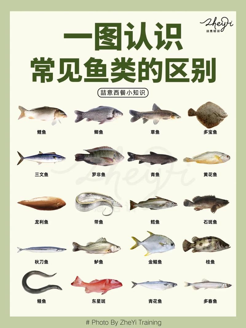 掃一掃看圖識魚【《掃一掃看圖識魚》主流魚類識別軟件的特點對比】 龍魚百科 第3張 掃一掃看圖識魚【《掃一掃看圖識魚》主流魚類識別軟件的特點對比】 掃一掃看圖識魚【《掃一掃看圖識魚》主流魚類識別軟件的特點對比】 龍魚百科 第3張
