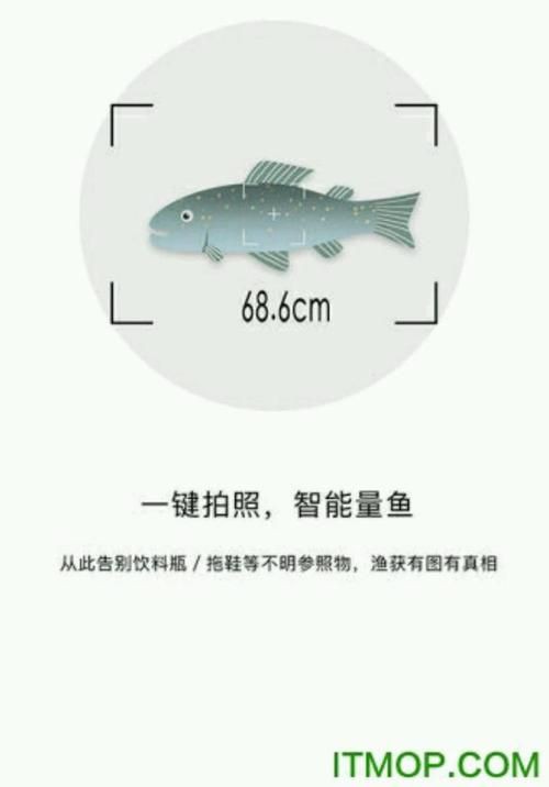 掃一掃看圖識魚【《掃一掃看圖識魚》主流魚類識別軟件的特點對比】 龍魚百科 第7張 掃一掃看圖識魚【《掃一掃看圖識魚》主流魚類識別軟件的特點對比】 掃一掃看圖識魚【《掃一掃看圖識魚》主流魚類識別軟件的特點對比】 龍魚百科 第7張