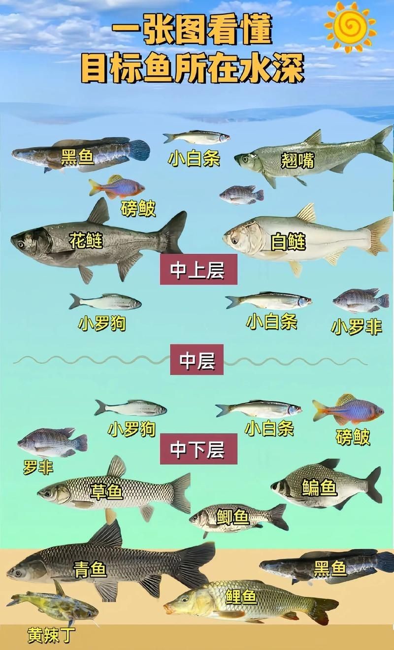 掃一掃看圖識魚【《掃一掃看圖識魚》主流魚類識別軟件的特點對比】 龍魚百科 第10張 掃一掃看圖識魚【《掃一掃看圖識魚》主流魚類識別軟件的特點對比】 掃一掃看圖識魚【《掃一掃看圖識魚》主流魚類識別軟件的特點對比】 龍魚百科 第10張