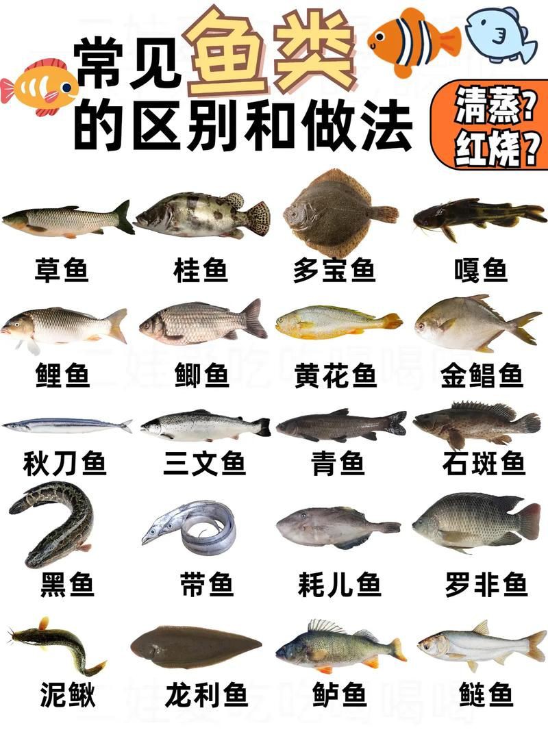 掃一掃看圖識魚【《掃一掃看圖識魚》主流魚類識別軟件的特點對比】 龍魚百科 第4張 掃一掃看圖識魚【《掃一掃看圖識魚》主流魚類識別軟件的特點對比】 掃一掃看圖識魚【《掃一掃看圖識魚》主流魚類識別軟件的特點對比】 龍魚百科 第4張