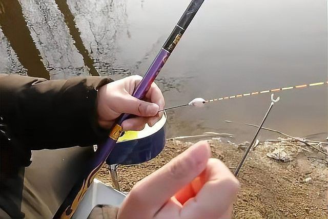 魚浮頭是什么樣子【中國鰻魚網(wǎng)，池塘魚浮頭是什么原因如何處理】 魚浮頭是什么樣子【中國鰻魚網(wǎng)，池塘魚浮頭是什么原因如何處理】 龍魚百科 第17張