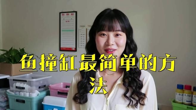 魚撞缸最佳處理方法【《魚撞缸最佳處理方法》觀賞魚蹭缸的原因及解決辦法】 魚撞缸最佳處理方法【《魚撞缸最佳處理方法》觀賞魚蹭缸的原因及解決辦法】 龍魚百科 第9張
