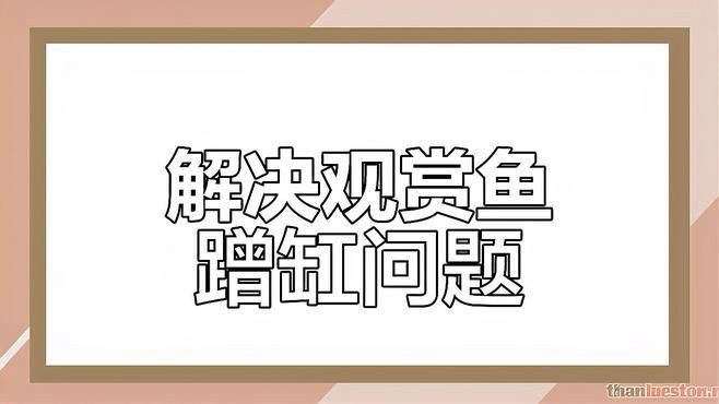 魚撞缸最佳處理方法【《魚撞缸最佳處理方法》觀賞魚蹭缸的原因及解決辦法】 魚撞缸最佳處理方法【《魚撞缸最佳處理方法》觀賞魚蹭缸的原因及解決辦法】 龍魚百科 第5張