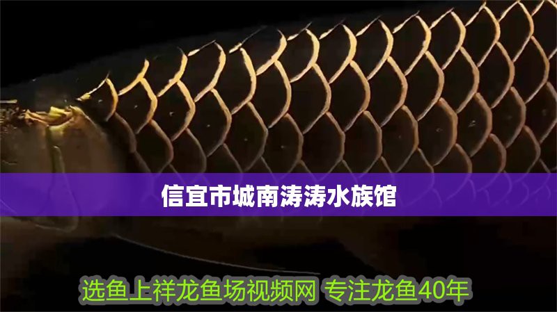 <strong><mark>信宜</mark></strong>龍魚店【<strong><mark>信宜</mark></strong>市東鎮龍森魚店成立于2023年8月18日成立】