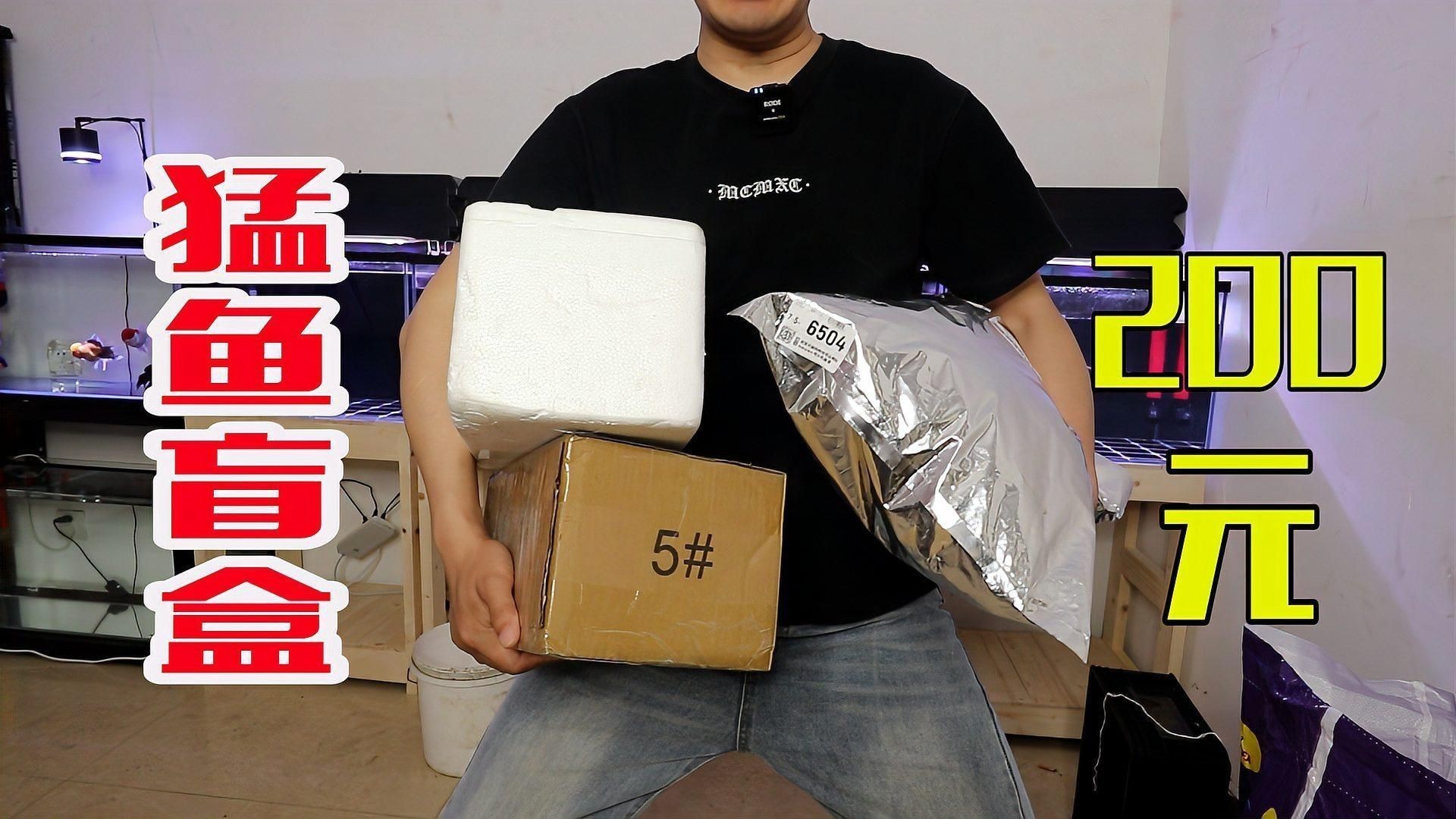 猛魚盲盒【300元網購10個猛魚盲盒，竟開出兇險食人魚】