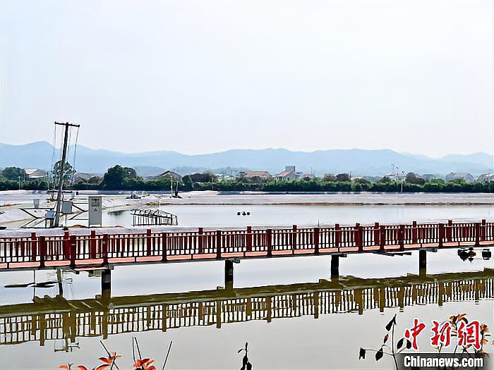 桃江龍魚(yú)店【桃江有哪些知名的龍魚(yú)養(yǎng)殖戶(hù)】 桃江龍魚(yú)店【桃江有哪些知名的龍魚(yú)養(yǎng)殖戶(hù)】 全國(guó)水族館企業(yè)名錄 第1張