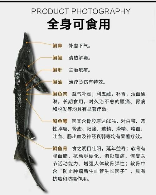 鱘龍魚圖片【中國新聞網(wǎng),魚界大熊貓——鱘龍魚養(yǎng)殖“鱘”出致富新路】