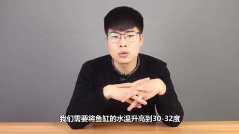 如何預防龍魚蒙眼病的發生？【-亮哥養魚頻道亮哥養魚頻道05:0331】