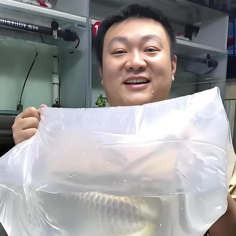 有沒有關(guān)于金龍魚的紀(jì)錄片【《品牌強國之路》金龍魚】 有沒有關(guān)于金龍魚的紀(jì)錄片【《品牌強國之路》金龍魚】 龍魚百科 第5張