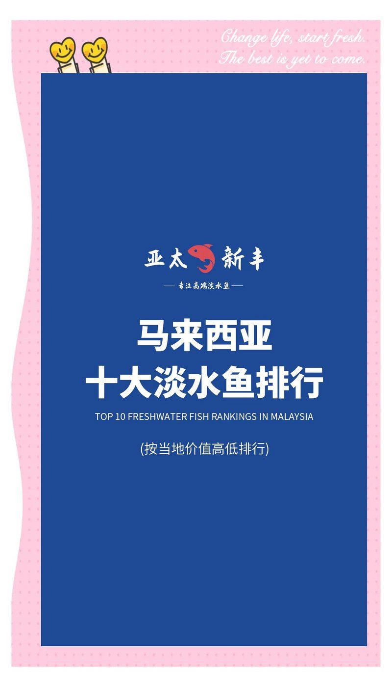 馬來西亞淡水魚有哪些【聞名世界的淡水魚，馬來西亞忘不了魚】 馬來西亞淡水魚有哪些【聞名世界的淡水魚，馬來西亞忘不了魚】 龍魚百科 第4張
