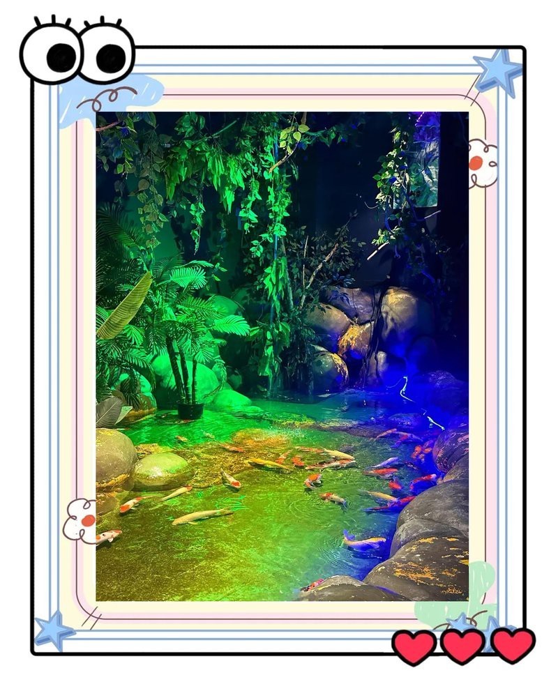 九龍坡水族店【九龍坡區水族店分布廣泛且各具特色】 九龍坡水族店【九龍坡區水族店分布廣泛且各具特色】 全國水族館企業名錄 第3張