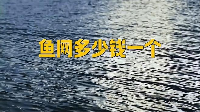 撈魚網多少錢一個【撈魚網多少錢一個-蘇寧易購】 撈魚網多少錢一個【撈魚網多少錢一個-蘇寧易購】 龍魚百科 第2張