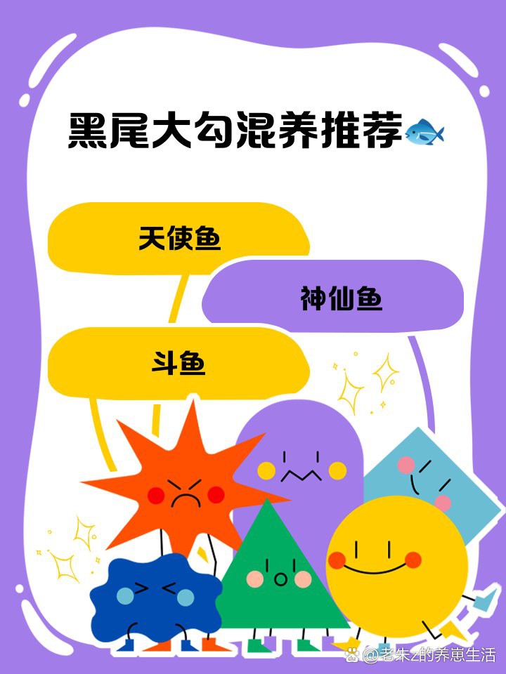 什么魚能和大勾魚混養【黑尾大勾混養指南，打造和諧水族箱的黃金法則】 什么魚能和大勾魚混養【黑尾大勾混養指南，打造和諧水族箱的黃金法則】 龍魚論壇 第2張