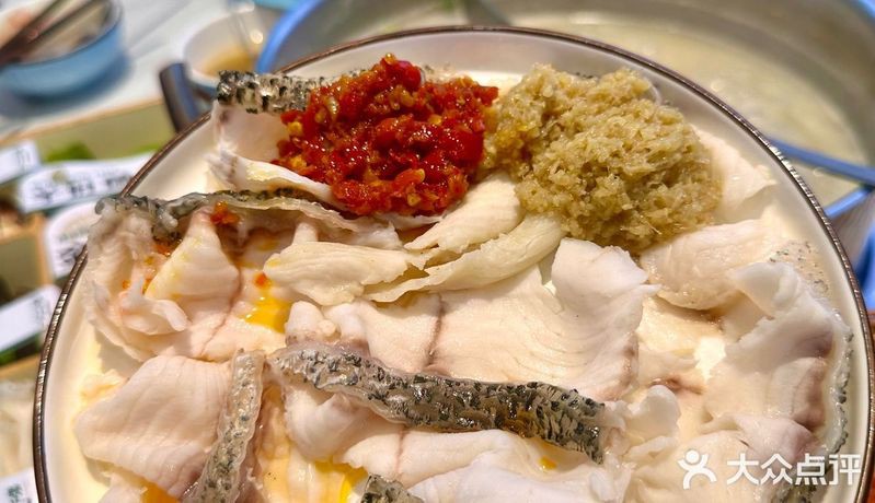 南陽龍魚店【南陽有哪些知名的龍魚店】 南陽龍魚店【南陽有哪些知名的龍魚店】 全國水族館企業(yè)名錄 第2張
