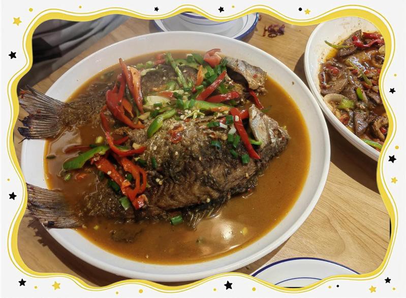 昌江區龍魚店【昌江區龍魚店哪家最好】