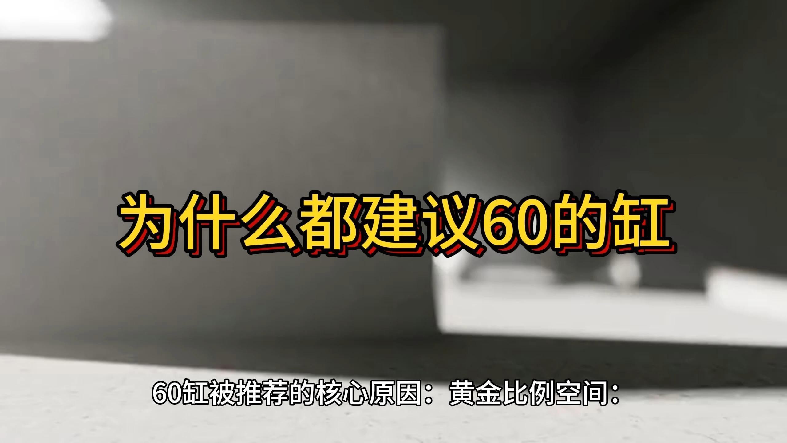 為什么都建議60的缸【60厘米的魚(yú)缸為什么都建議60的缸林之承為什么都建議60的缸】