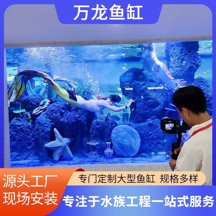 株洲魚缸批發(fā)市場(chǎng)【株洲魚缸批發(fā)市場(chǎng)在哪里】