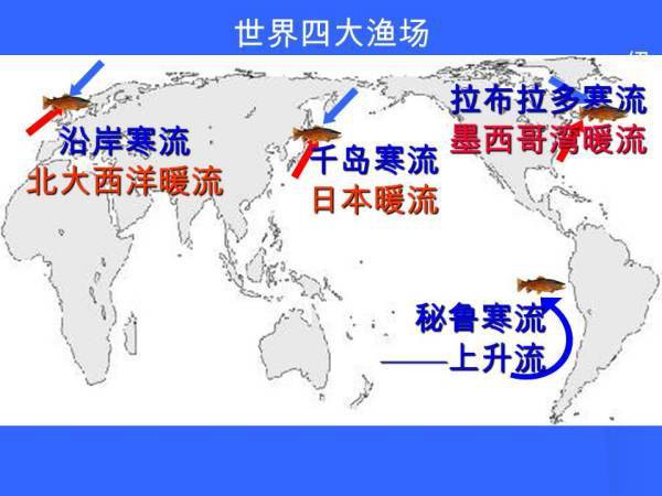 世界四大漁場形成原因【世界四大漁場】