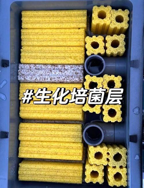 濾材的作用圖解大全【《濾材的作用圖解大全》】