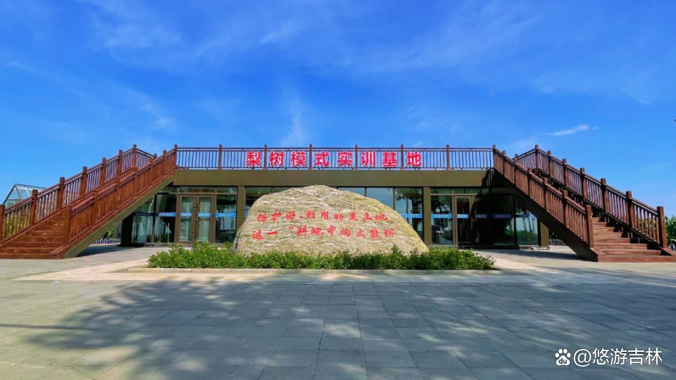 梨樹縣龍魚店【梨樹縣龍魚店——梨樹洲鱘龍魚】