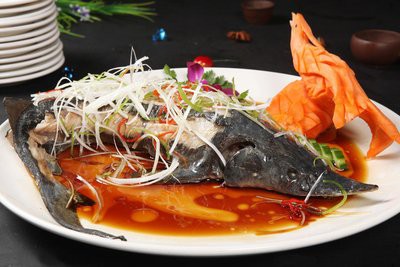 梨樹縣龍魚店【梨樹縣龍魚店——梨樹洲鱘龍魚】