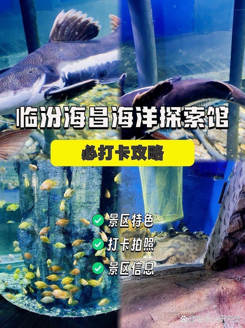 臨汾水族店【臨汾水族店怎么樣】 全國水族館企業名錄 第10張 臨汾水族店【臨汾水族店怎么樣】 臨汾水族店【臨汾水族店怎么樣】 全國水族館企業名錄 第10張