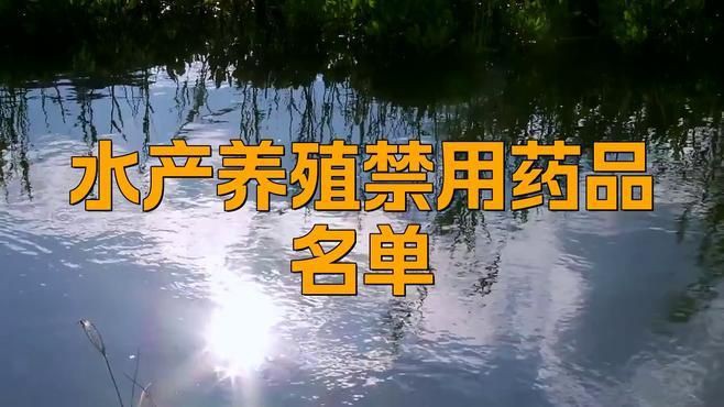 有哪些藥物是龍魚禁用的？【畜牧水產養殖業禁用藥物清單一覽表2024貍伴星遙】