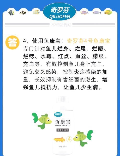 魚充血的圖片【關于觀賞魚充血的圖片】