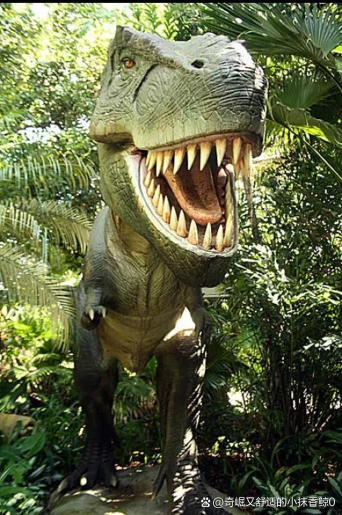 恐龍圖片大全【《恐龍圖片大全》】