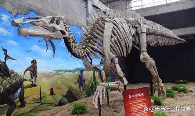 恐龍圖片大全【《恐龍圖片大全》】