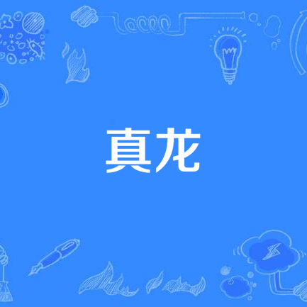 什么叫真龍【懷化學(xué)院新聞網(wǎng)：“真龍”是中國傳統(tǒng)文化中極具象征意義的神話】
