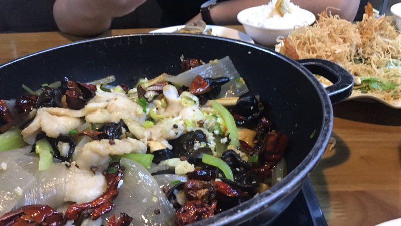 鹽城龍魚店【鹽城的龍消失的店鋪有著獨特的經營軌跡】 鹽城龍魚店【鹽城的龍消失的店鋪有著獨特的經營軌跡】 全國水族館企業名錄 第3張