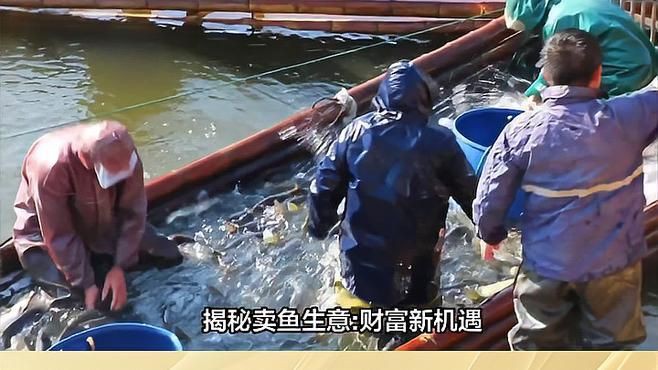 開個水族館賣魚掙錢嗎【開一個水族館賣魚掙錢嗎加盟寶典開觀賞魚店能掙錢嗎】