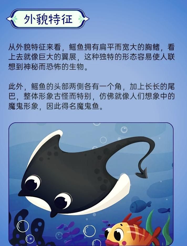 魔鬼魚的身體結構圖【揭秘海洋中究竟誰才是“魔鬼魚”】