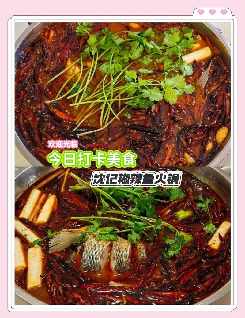 寧洱龍魚店【寧洱美食打卡攻略】 寧洱龍魚店【寧洱美食打卡攻略】 全國水族館企業(yè)名錄 第1張