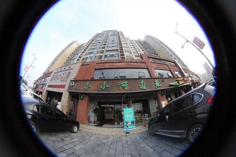 當陽龍魚店【宜昌當陽龍魚店開業2個月天天排隊爆滿竟藏著大秘密…】