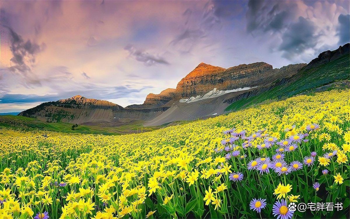 《都市我有魚場空間》的主要角色有哪些？【15本已完結(jié)鄉(xiāng)土種田類農(nóng)場流都市小說,悟隱士之情宅胖看書】