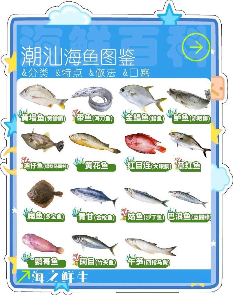 廣東人常吃的20種魚【廣東常見魚類及其烹飪方式，潮汕海魚大揭秘，你知多少】 廣東人常吃的20種魚【廣東常見魚類及其烹飪方式，潮汕海魚大揭秘，你知多少】 全國水族館企業名錄 第1張