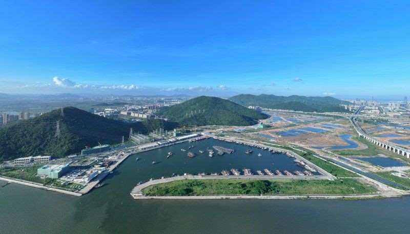 廣東人常吃的20種魚【廣東常見魚類及其烹飪方式，潮汕海魚大揭秘，你知多少】 廣東人常吃的20種魚【廣東常見魚類及其烹飪方式，潮汕海魚大揭秘，你知多少】 全國水族館企業名錄 第7張