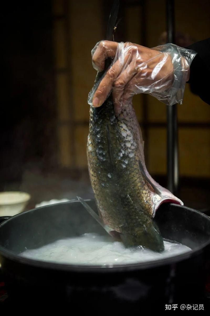 廣東人常吃的20種魚【廣東常見魚類及其烹飪方式，潮汕海魚大揭秘，你知多少】 廣東人常吃的20種魚【廣東常見魚類及其烹飪方式，潮汕海魚大揭秘，你知多少】 全國水族館企業名錄 第3張