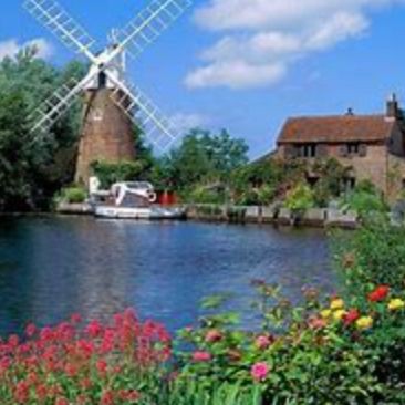 河豚是淡水魚(yú)還是海水魚(yú)【河豚是淡水魚(yú)還是海水魚(yú)淡水魚(yú)淡水河豚有哪些種類(lèi)】 河豚是淡水魚(yú)還是海水魚(yú)【河豚是淡水魚(yú)還是海水魚(yú)淡水魚(yú)淡水河豚有哪些種類(lèi)】 龍魚(yú)論壇 第12張