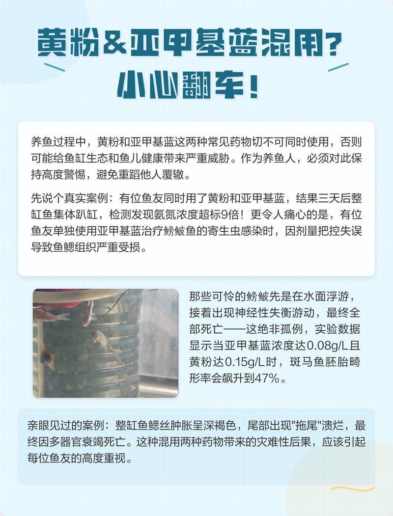 甲基藍(lán)和黃粉可以一起用嗎【甲基藍(lán)和黃粉能一起使用嗎】