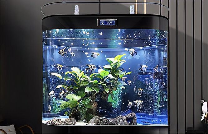 什么品牌魚缸質量最好【魚缸十大品牌排名】